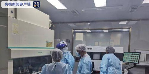 辽宁推广“10合1”混采检测技术，实施闭环管理严防境外输入