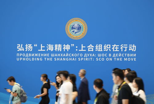 上合组织天津峰会 携手共建繁荣发展共同家园，共走可持续发展之路