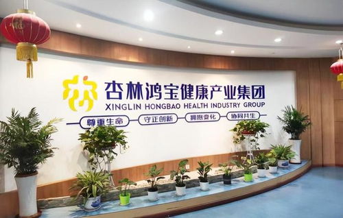 艾玛医疗科技携手杏林鸿宝集团 益宝健康项目软件开发合作，共筑智慧医疗新生态